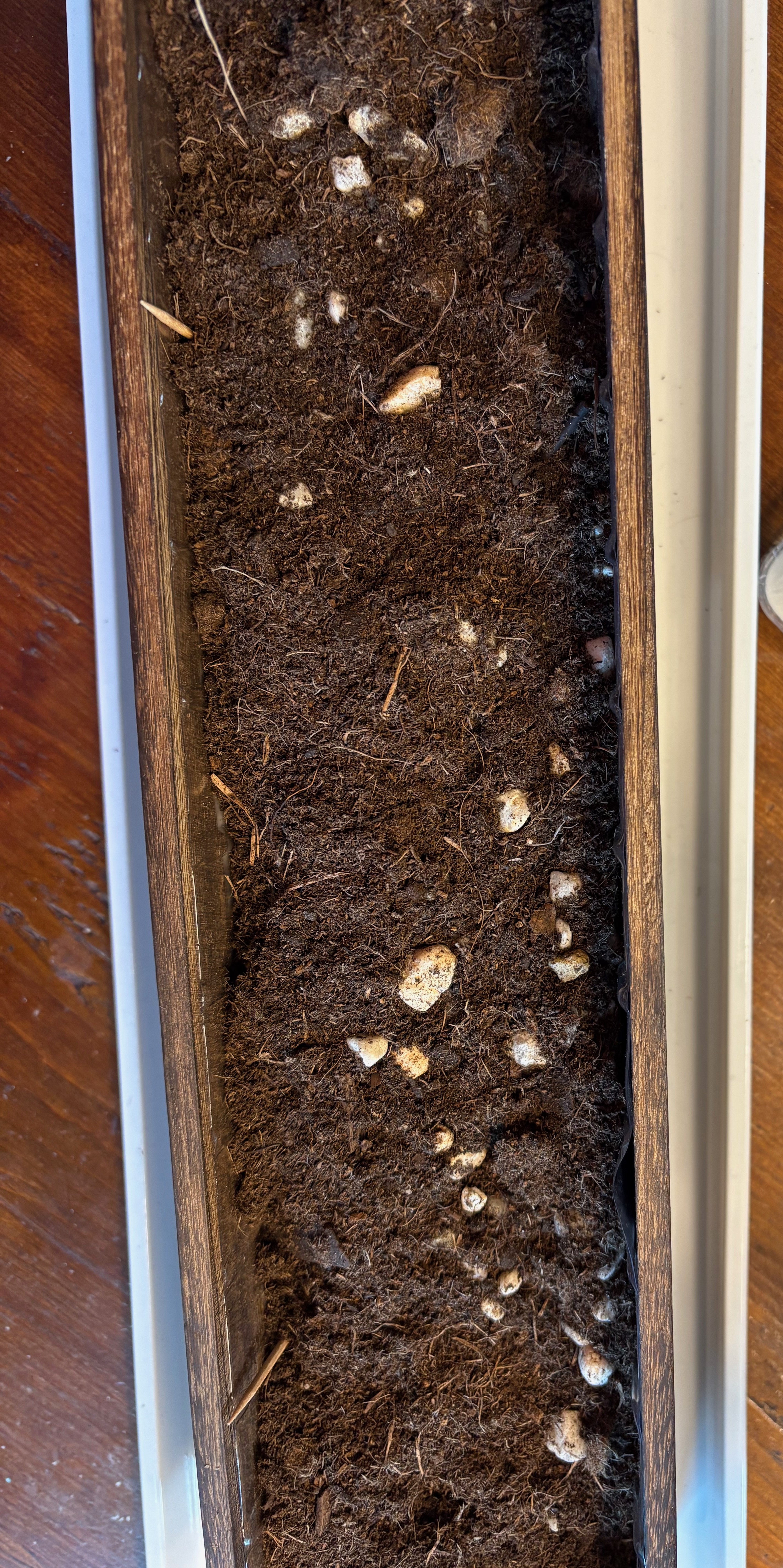 planting_box